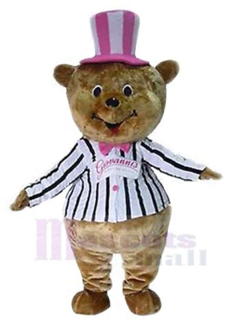 bär maskottchen kostüm
