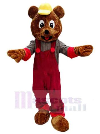 bär maskottchen kostüm