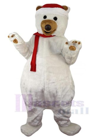 bär maskottchen kostüm