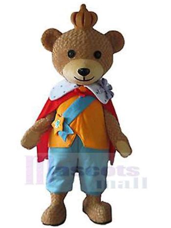 bär maskottchen kostüm