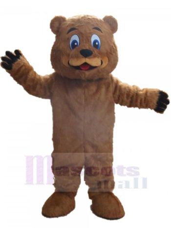 bär maskottchen kostüm