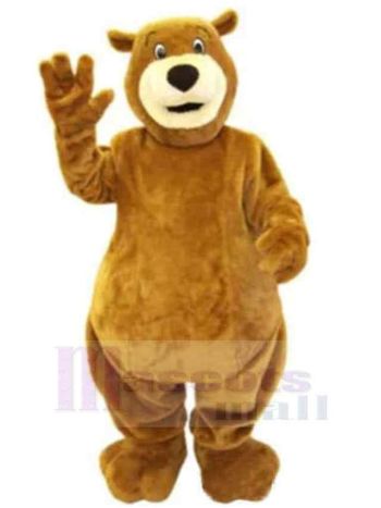 bär maskottchen kostüm