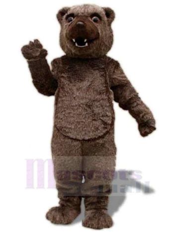 bär maskottchen kostüm
