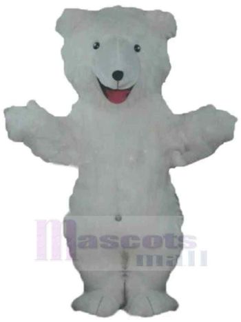 bär maskottchen kostüm