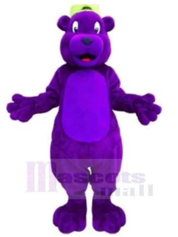 bär maskottchen kostüm