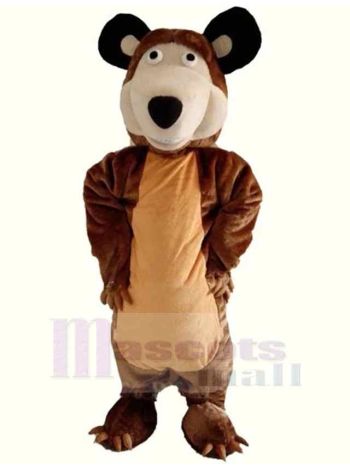 bär maskottchen kostüm