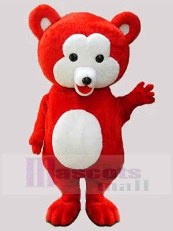 bär maskottchen kostüm