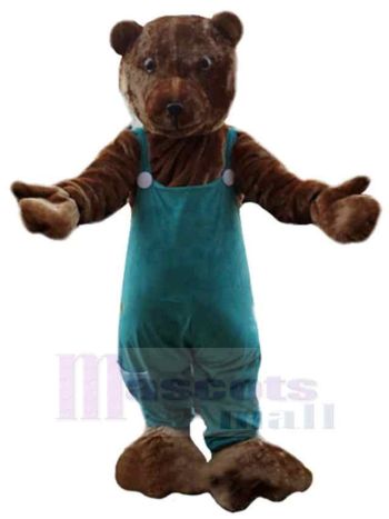 bär maskottchen kostüm