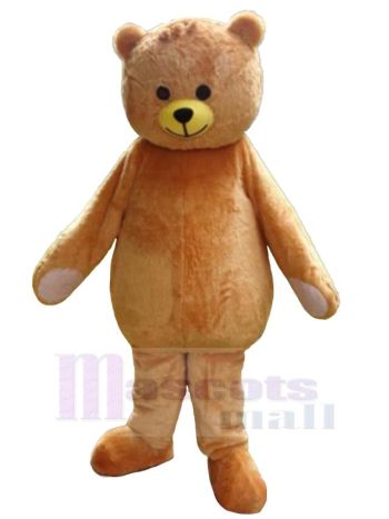 bär maskottchen kostüm
