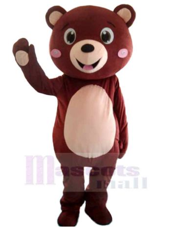 bär maskottchen kostüm