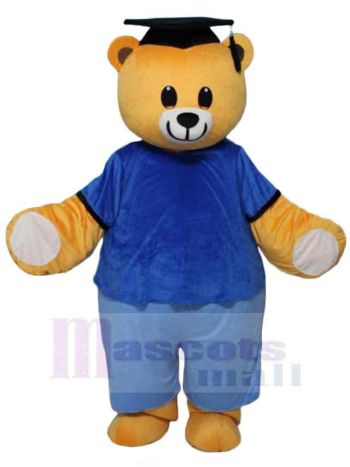bär maskottchen kostüm