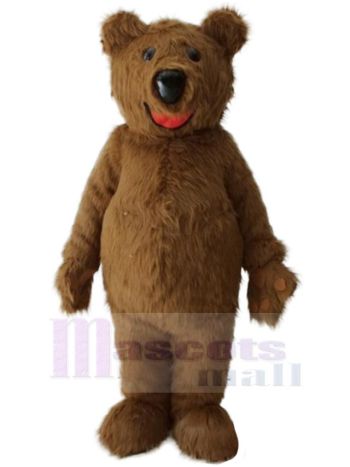 bär maskottchen kostüm
