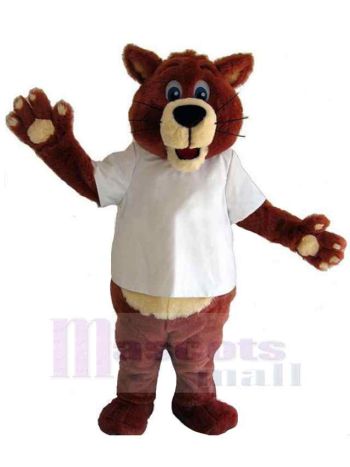 bär maskottchen kostüm
