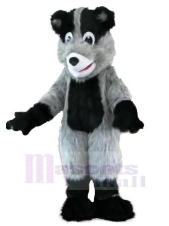 bär maskottchen kostüm