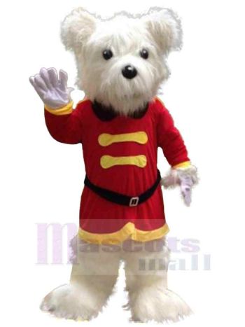 bär maskottchen kostüm