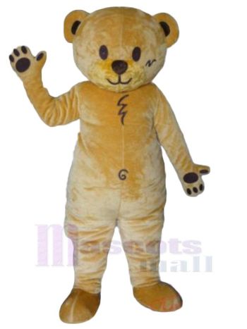 bär maskottchen kostüm