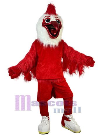 Vogel maskottchen kostüm