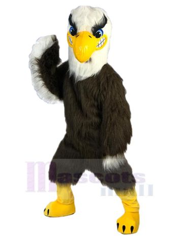 Adler Falke maskottchen kostüm