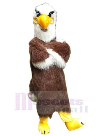 Adler Falke maskottchen kostüm