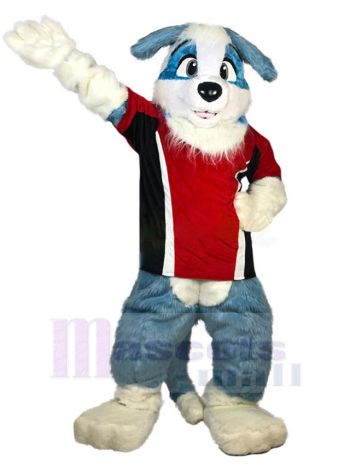 Hund maskottchen kostüm