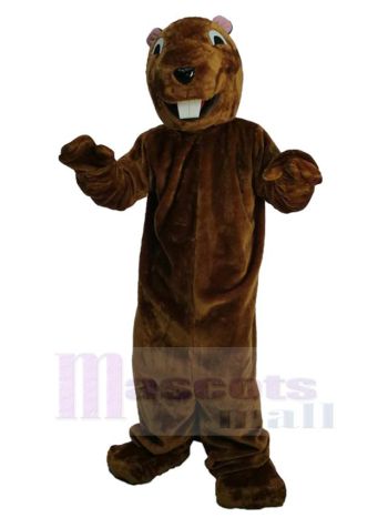 Murmeltier maskottchen kostüm