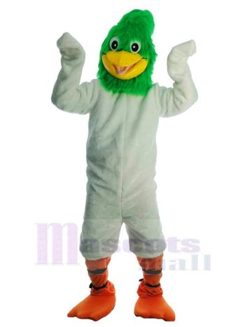Vogel maskottchen kostüm