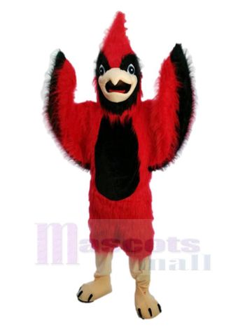 Vogel maskottchen kostüm