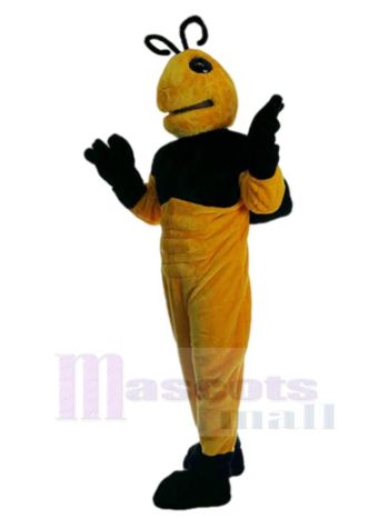 Biene maskottchen kostüm