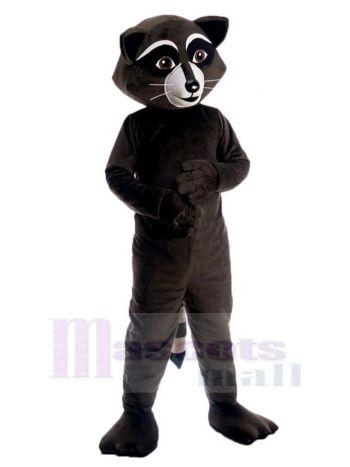 Waschbär maskottchen kostüm