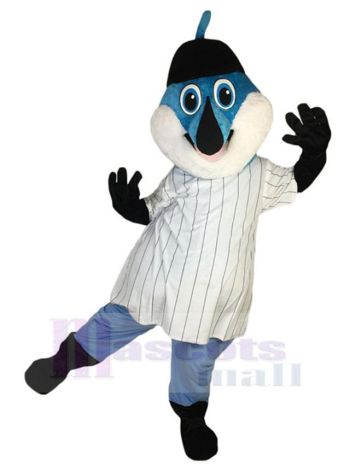 Delfin maskottchen kostüm