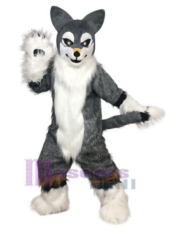 Hund maskottchen kostüm