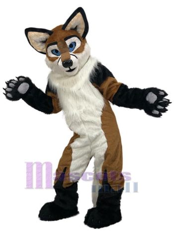 Hund maskottchen kostüm