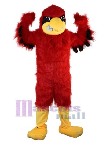 Adler maskottchen kostüm
