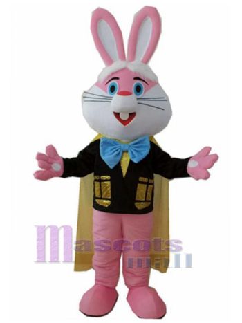 Kaninchen maskottchen kostüm
