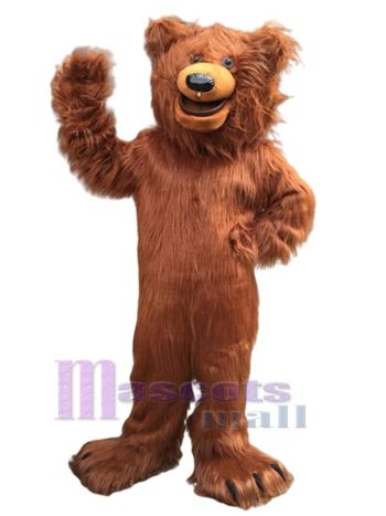 bär maskottchen kostüm