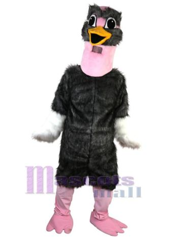 Strauß maskottchen kostüm