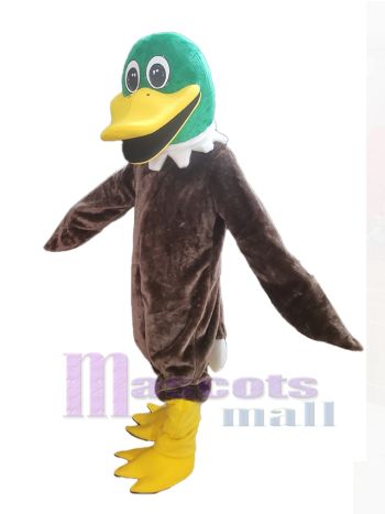 Ente maskottchen kostüm