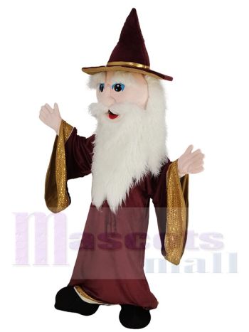 Merlin Zauberer maskottchen kostüm