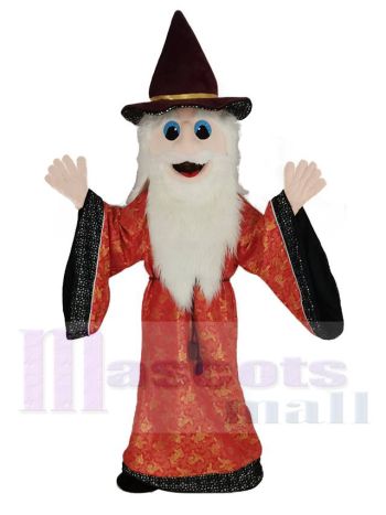 Merlin Wizard Maskottchen Kostüm Karikatur