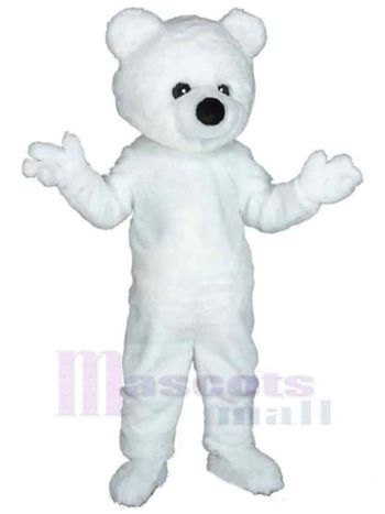 bär maskottchen kostüm
