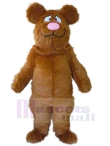 bär maskottchen kostüm