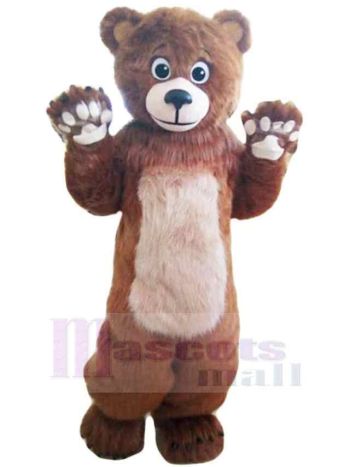 bär maskottchen kostüm