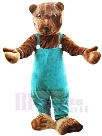 bär maskottchen kostüm