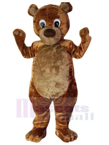 bär maskottchen kostüm