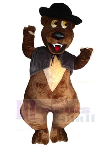 bär maskottchen kostüm