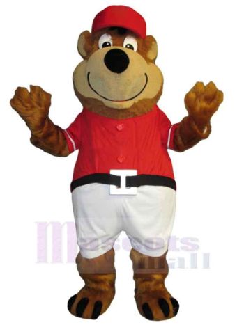 bär maskottchen kostüm