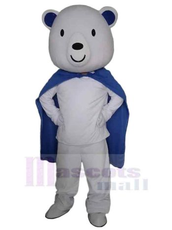 bär maskottchen kostüm