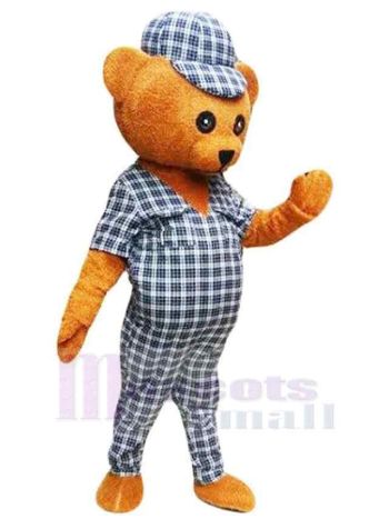 bär maskottchen kostüm