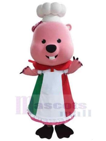 bär maskottchen kostüm