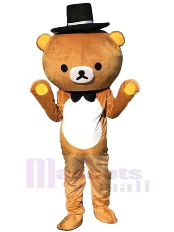 bär maskottchen kostüm
